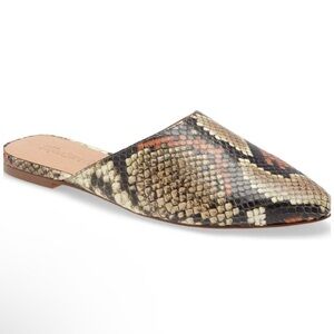 Madewell Womens Remi Mule Leather Snake Print Pointed Toe Slide Multi 7M
